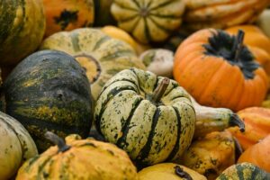 Various gourds